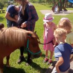 phoca_thumb_m_ponk 112 Fotogalerie